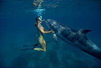 Bottlenose dolphin with trainer {Tursiops truncatus} Eilat, Red Sea, Egypt. Model released Model released.