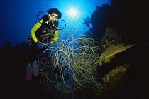 Diver next to Seafan, Caribbean.