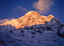 Dawn over Annapurna summit, as seen from Annapurna base camp, Annapurna circuit, Himalayas, Nepal