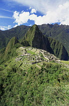 Machu Picchu "Lost City of the Incas", Andes, Peru, South America