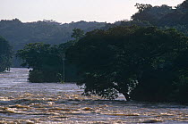 Epulu river in flood, Ituri rainforest reserve, Democratic Republic of Congo (formerly Zaire)