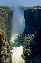 Victoria falls NP. Zambezi river, Zambia.