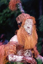 Bambuti pygmy man at Kumbe circumcision ritual, Epulu Ituri reserve, Democratic Republic of Congo (formerly Zaire)