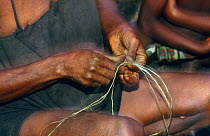 Bambuti pygmy woman rolling fibres to make hunting nets, Epulu Ituri reserve, Democratic Republic of Congo (formerly Zaire)