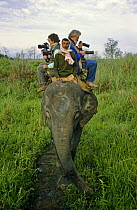 Photographers ride on domesticated Indian elephant (Elepas maximus) Kaziranga NP, Assam, NE India