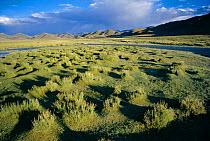 Upland landscape, Ali, Tibet, China.