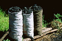 Sacks of Charcoal, associated with deforestation, Madagascar