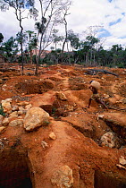Gold mining pits dug in previous rainforest habitat,  Andranotsimaty village, Madagascar. This mining encroaches on last remaining refuge of golden crowned sifakas, an endangered endemic primate.