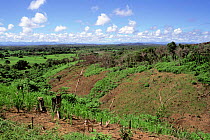 Landscape showing physical scars of slash & burn agriculture where once forest stood, near Ambilobe, Madagascar