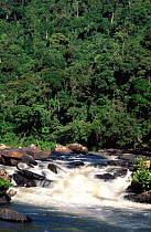 River Namorona in mid altitude rainforest, Ranomafana NP, Eastern Madagascar