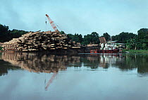 Loading timber from rainforest onto barges for river transport,  Sabah, North Borneo, Malaysia
