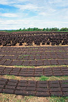Peat drying, extracted from raised peat bog, County Kerry, Republic of Ireland