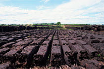 Peat drying, extracted from raised peat bog, County Kerry, Republic of Ireland