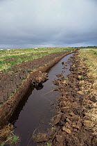 Raised peat cutting being worked for peat extraction, County Kerry, Republic of Ireland