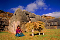 Indian woman with llama by Sacsayhuman Inca ruins, Cusco, Peru,