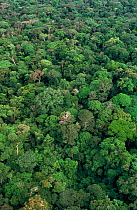 Aerial view of rainforest canopy during rainy season. Democratic Republic of Congo, Epulu Ituri rainforest reserve.