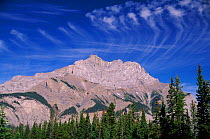 Mount Norquay (8251ft) Banff NP, Canada.