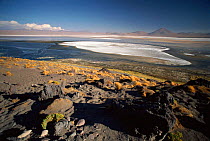 Lago Colorado, Andes, Bolivia. showing white minerals in lake. 4200m