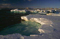 Ice floe edge in spring, Lancaster sound, Canadian Arctic