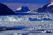 Sea ice and glacier in spring. Kongsfjord, Svalbard, Norway, Scandinavia, Europe
