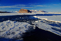 Melting sea ice in spring. Kongsfjord, Svalbard, Norway, Scandinavia, Europe