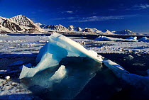 Spring pack ice, Kongsfjord, Svalbard, Norway, Scandinavia, Europe