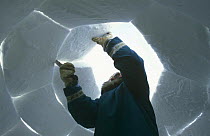 Isaac Shooyuk, an Inuit, building igloo, Admiralty Inlet, Baffin Island, Canadian Arctic