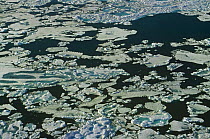 Aerial view of sea ice breaking up in late spring, Lancaster Sound, Canadian Arctic