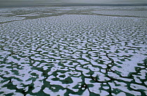 Aerial view of sea ice melting, creating patterns over spring sea surface, Lancaster sound, Canadian Arctic