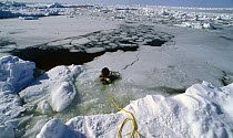 Diver in crack between ice, Magdelen Island, Canadian Arctic