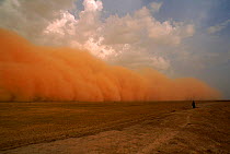 Dust storm preceeding thunderstorm in the Sahel, Mali NB Person watching