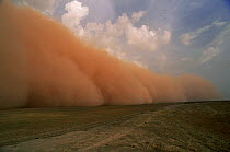 Dust storm preceeding thunderstorm in the Sahel, Mali