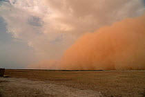Dust storm preceeding thunderstorm in the Sahel, Mali, West Africa