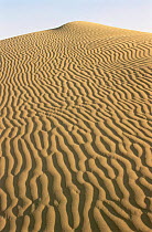 Sand dunes patterns in Thar Desert, near Jaisalmer, Rajastan, India