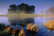Dawn over Elterwater, Langdale, Cumbria, England, UK, Europe