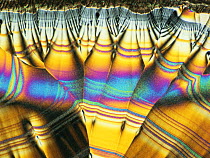 Photomicrograph of a Vitamin C crystal / Ascorbic acid, at low magnification