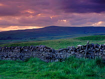 Cheviot hills with dry stone wall. Northumberland, England, UK.