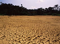 Dessicated land following deforestation, Amazonia, Ecuador