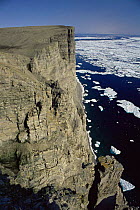 Seabird breeding cliffs of Leopold Island, Lancaster Sound, Canadian Arctic