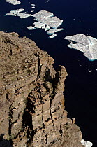 Bird breeding cliffs, Murres on ledges. Leopold Is, Lancaster Sound, Canadian Arctic.