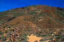 Volcanic landscape with crater, Teide NP, Tenerife, Canary Islands