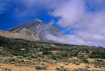 Las Canadas, Teide Volcano NP, Tenerife, Canary Islands