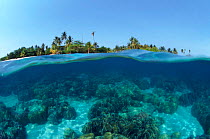 Split-level shot of coral reef and shore, Phillippines