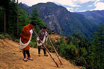 Telescopic trumpets being blown on way to Taktsang, Paro valley, Bhutan