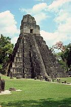 Maya monument and temple at Tikal, Guatamala, Central-America