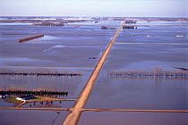 Aerial view of flooded land at Grand Forks, North Dakota, USA. April 1997