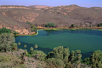 Padam Talao, the 'first lake', seen from Ranthambore fort Ranthambore NP, Rajastan, India