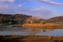 Padam Talao, the 'first lake', with Ranthambore fort in distance, Ranthambore NP, Rajastan, India