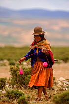 Quechua woman spins Llama wool as she walks on the altiplano, Bolivia
