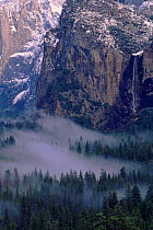Bridal Vale Falls & valley floor, Yosemite NP, California, USA